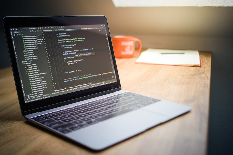 Курсы программирования и веб-дизайна